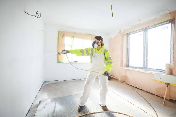 Best Post-Construction Mold Inspection  in Holland, OH