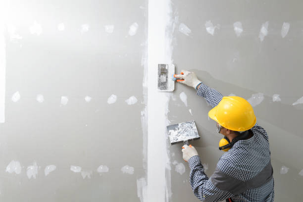 Best Real Estate Mold Inspection  in Holland, OH
