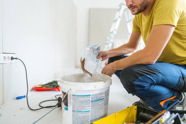 Best Crawl Space Mold Remediation  in Holland, OH