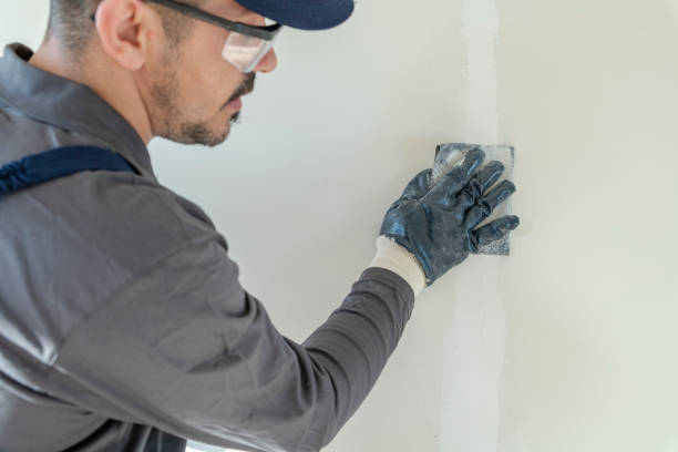 Best Post-Remediation Verification Testing  in Holland, OH
