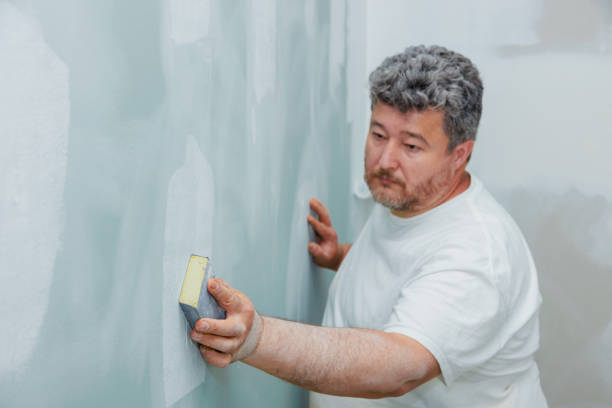 Best Biohazard Mold Removal  in Holland, OH