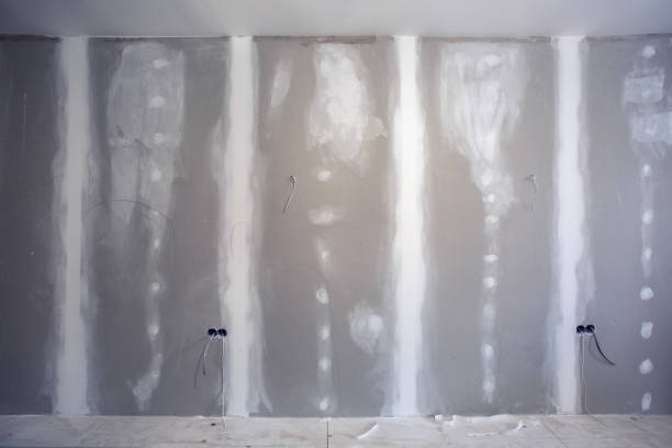 Best Forensic Mold Investigation  in Holland, OH